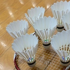 【運動不足解消】ゆるく楽しむバドミントン🏸✨
