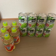 ドリンク13本