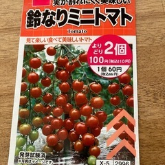 トマトの種