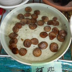 藤紫　種子の画像