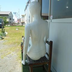 マネキン トルソー ④の画像
