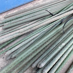 イボ付き支柱50本くらいの画像