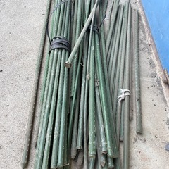 イボ付き支柱50本くらいの画像