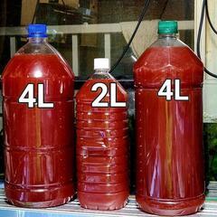 No.16【10L】　光合成細菌　PSB　メダカの水槽に、どうぞ
