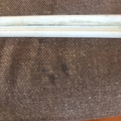 ［決まりました］GEX キューブ水槽の画像