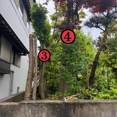 薪用庭木
