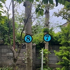 薪用庭木
