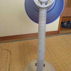 電球 スタンドの画像