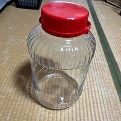果実酒用瓶（大）