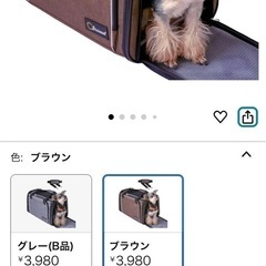 Bicieeel 犬 猫 キャリーバッグ ペットキャリーバッグの画像