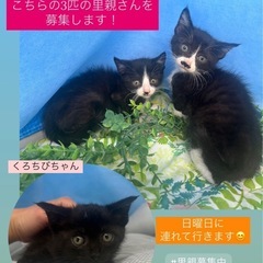 5月18日日曜日観に来られる方