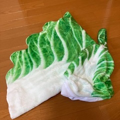白菜おくるみの画像