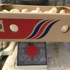 受付終了 にんにくの画像