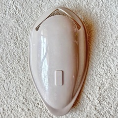 しまむら　モリノリンクル　ウォーターガイド　くまの画像