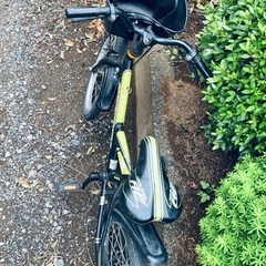 子供用自転車 黒と黄色 スポーティの画像