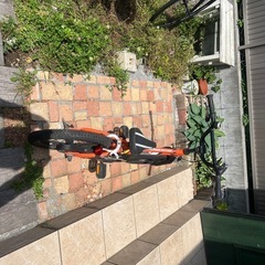 子供用の自転車(GIANT)の画像