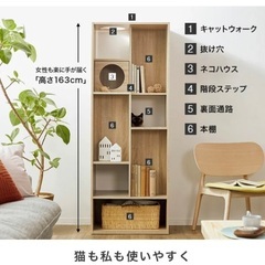 キャットウォーク 猫 本棚 キャットタワー 木製 幅60cm 家具 チェスト キャビネットの画像