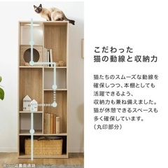 キャットウォーク 猫 本棚 キャットタワー 木製 幅60cm 家具 チェスト キャビネットの画像