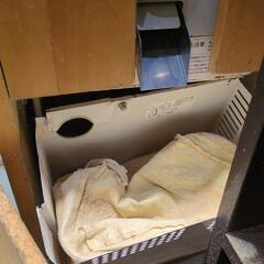 精米機　業務用の画像