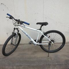 ルイガノ LOUIS GARNEAU LGS-FIVE 2010年モデルの画像