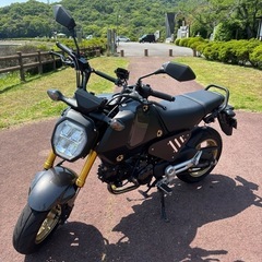 ホンダ
Jc92 グロム