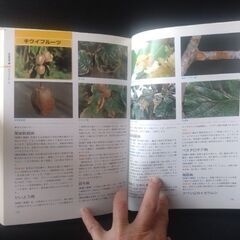 植木の参考本の画像