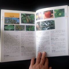 植木の参考本の画像