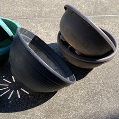 植木鉢6個+受け皿1個の画像