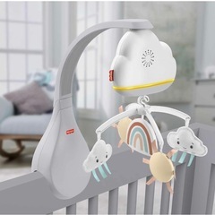 フィッシャープライス(fisher price) 2WAYレイン...