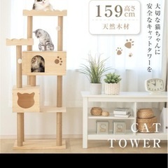 木製キャットタワー‼️