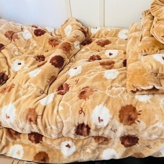 毛布、無料で譲ります