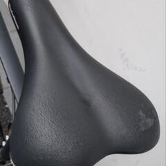 🚴💨KhodaaBloom RAIL コーダブルーム🎶の画像