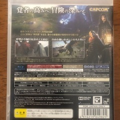 ドラゴンズドグマ ： ダークアリズン PS3 通常版 ソフトの画像