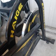 HAIGE サイクリングマシン