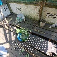 解体したウッドデッキの木材の画像