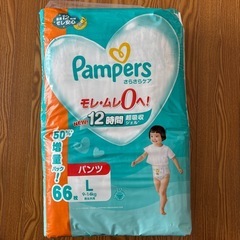 パンパース　パンツLサイズ　66枚
