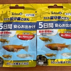 🌟新品未使用品🌟 Tetra スペクトラムブランズジャパン 株式...
