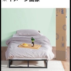 【未使用品 
未開封品】オリースリープ(Olee Sleep) ...