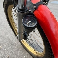 HONDA TL125 JD06 ペガサス　TLR200の画像