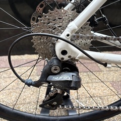 TREK DOMANE AL3 DISC 2022（トレック ドマーネ）　の画像