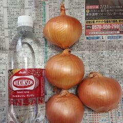 普通のたまねぎ※新玉ねぎではありません。※ペットボトル付きません。