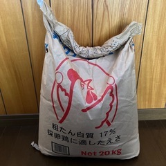 鶏のえさ