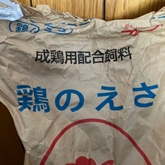 鶏のえさの画像