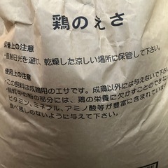 鶏のえさの画像