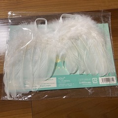 【商談中】天使の羽と冠　ベビー記念写真　衣装小物の画像