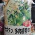 ランキングキーワードに紐づく投稿画像-多肉植物