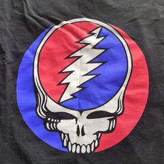 メンズTシャツreversalの画像