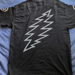 メンズTシャツreversalの画像