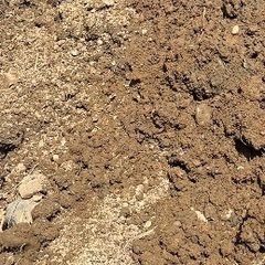 【無料】残土　庭土　欲しい方