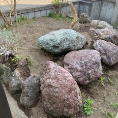 庭石　差し上げます　1個からでも
